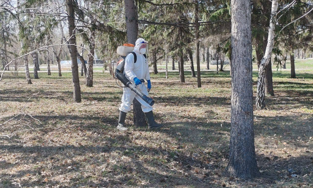 В Омске начали обрабатывать парки от клещей