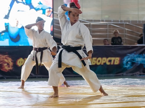 В Омской области готовятся к Фестивалю единоборств