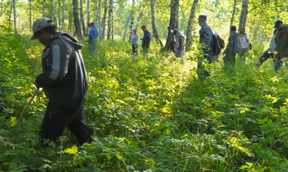 В Омской области нашли пропавшего грибника