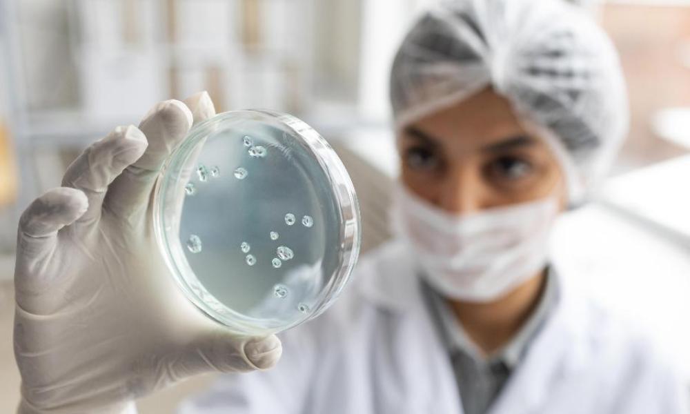 Китайские учёные обнаружили 8 новых вирусов и планируют с ними экспериментировать 