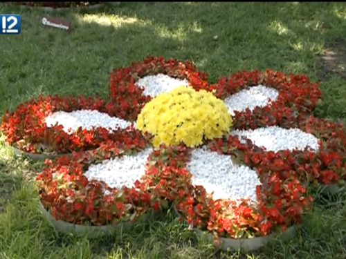 В Омске высадят цветы на 2,8 млн рублей