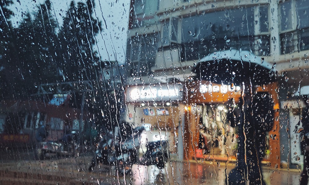 В Омской области ожидаются тёплые и дождливые дни с сильным ветром