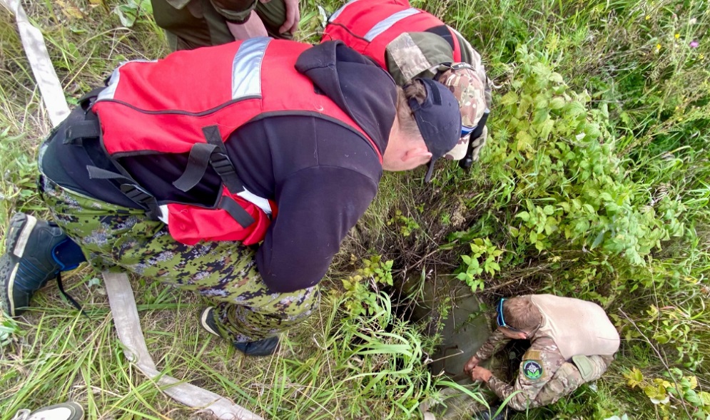Омские поисковики во время розыска пропавшего человека спасли лису от гибели