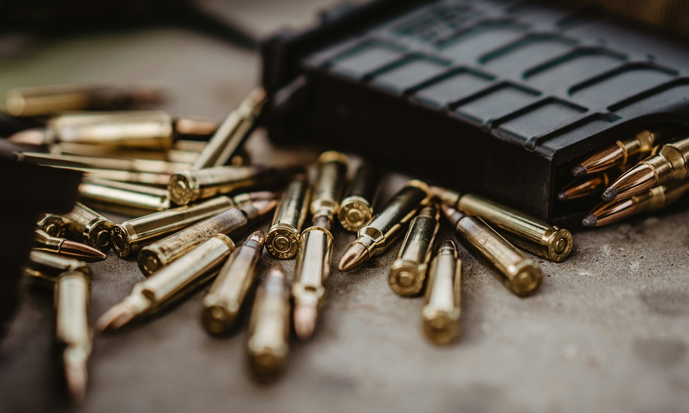 Глава Минприроды Омской области утвердил норму допустимой добычи кабана в охотугодьях 