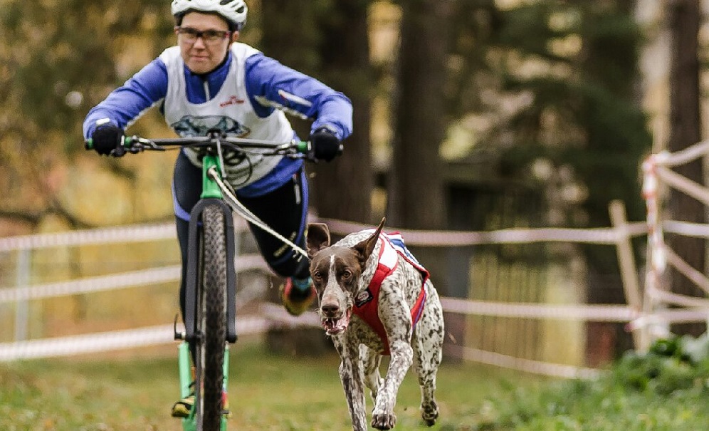 Омичка завоевала первое место на чемпионате страны по ездовому спорту 