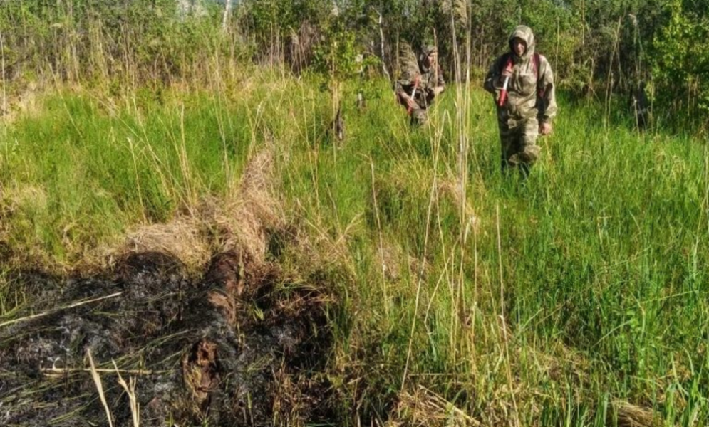 В Колосовском районе потушили лесной пожар