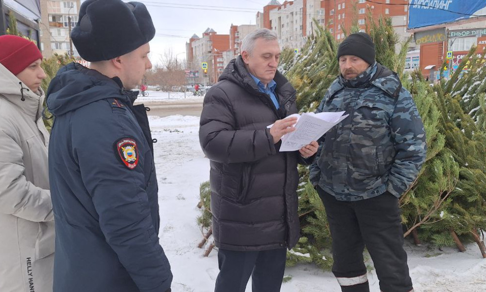 В Омской области усилили охрану лесов перед Новым годом