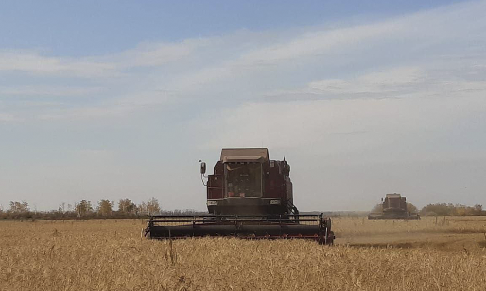 Виталий Хоценко: «Омские аграрии намолотили 2,5 млн тонн зерна»