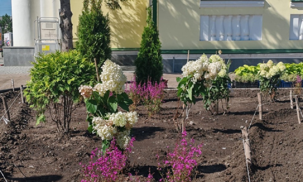 В Омске высаживают многолетние цветы
