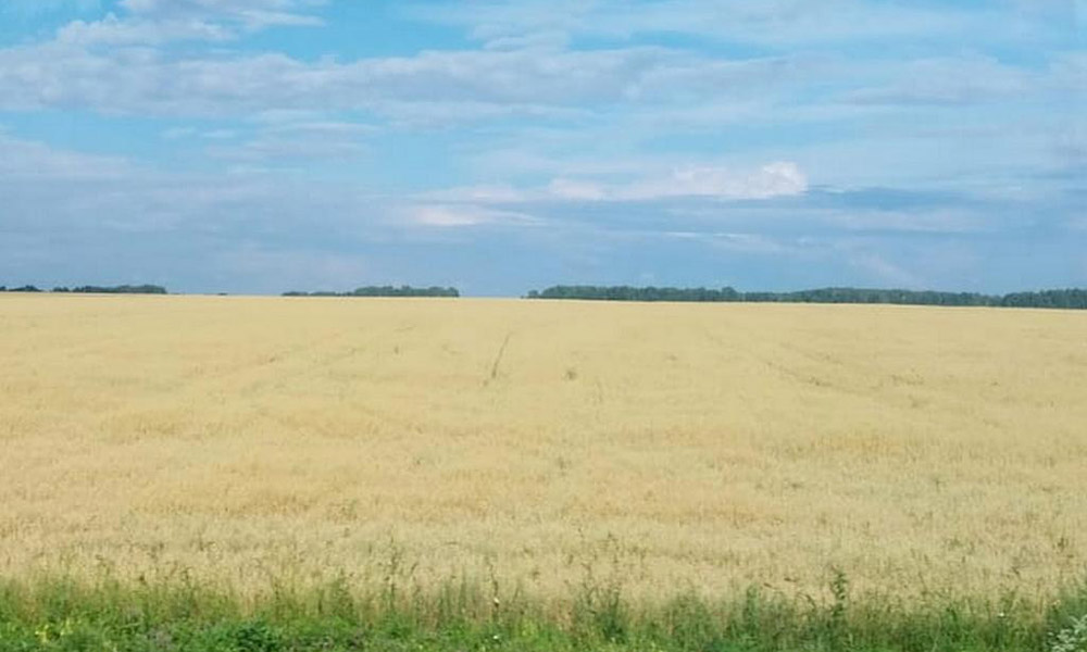 Аграриям Омской области предлагают земельные участки для сельскохозяйственного использования