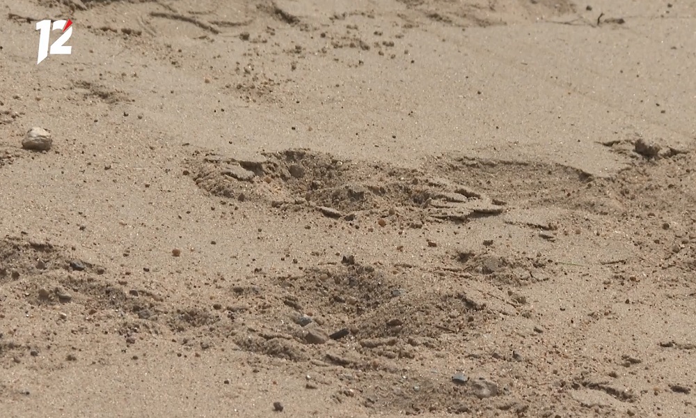 Омские пляжи откроют 1 июня