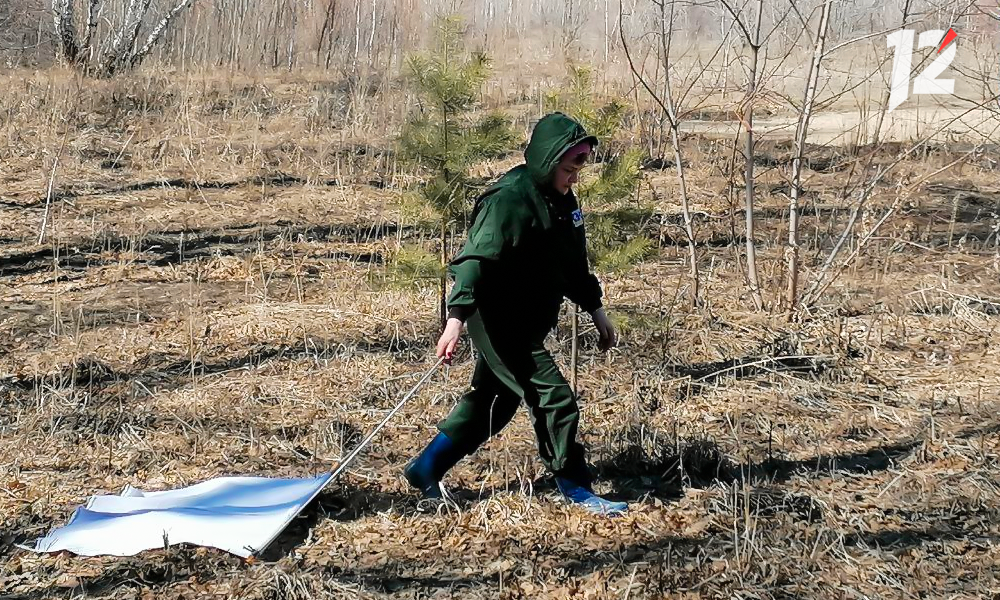 В Омске скверы и кладбища начнут обрабатывать от клещей