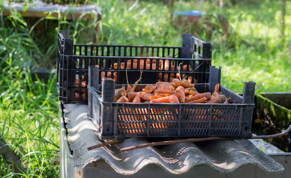В Омске пока не собираются запускать дачные маршруты