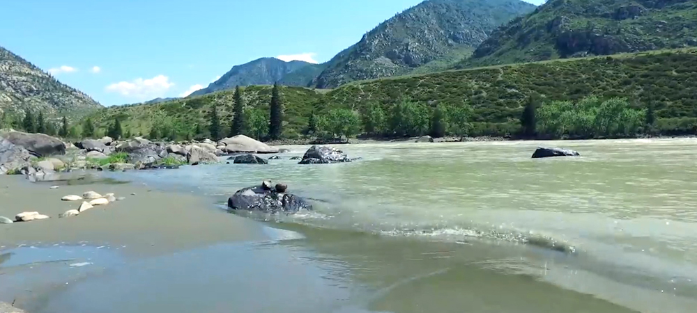 Омичи смогут улететь в отпуск уже в июле