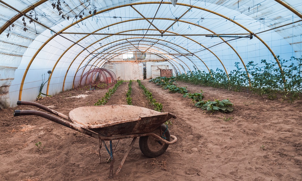 Омская компания написала, что делает «лучшие теплицы», чем нарушила закон о рекламе