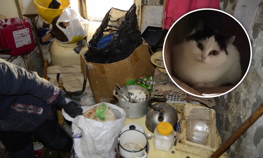 На омичку, собирающую в своём доме кошек и мусор, пожаловались соседи 