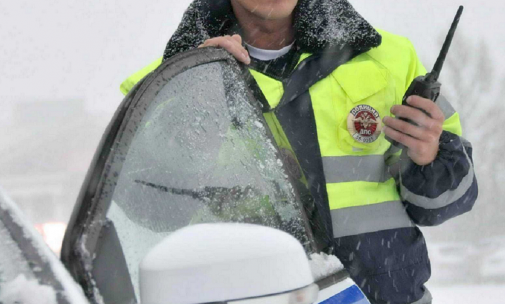 Полицейские задержали водителя, сбившего девочку в Знаменском районе Омской области