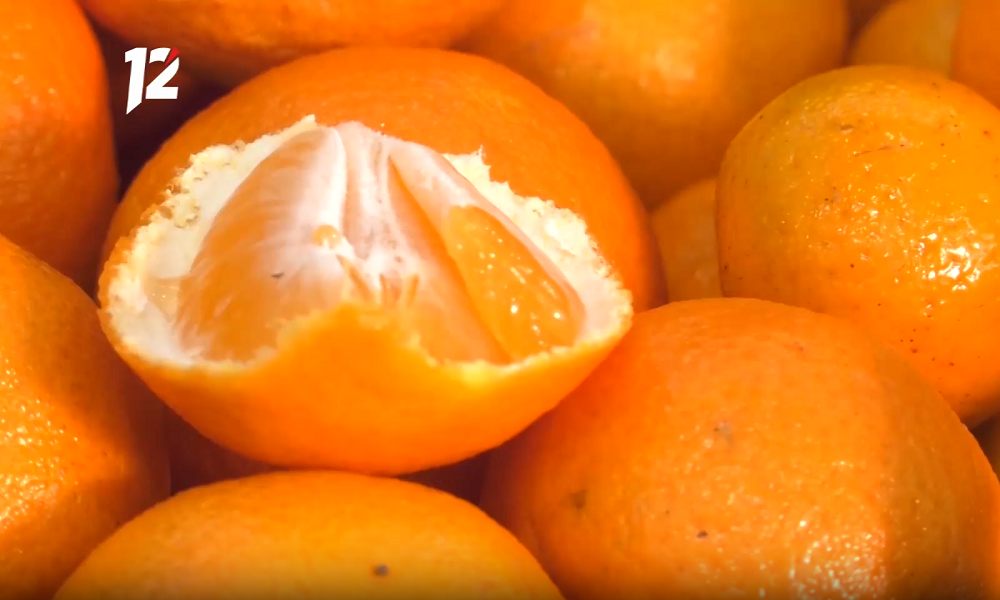 К Новому году стоимость мандаринов в России может снизиться