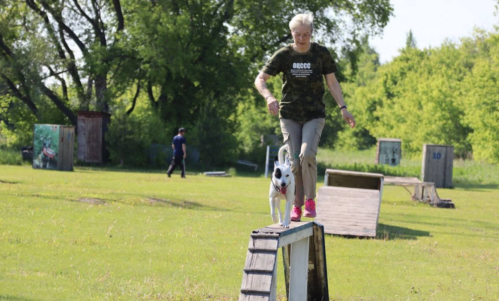 В Омске прошли соревнования собаководов