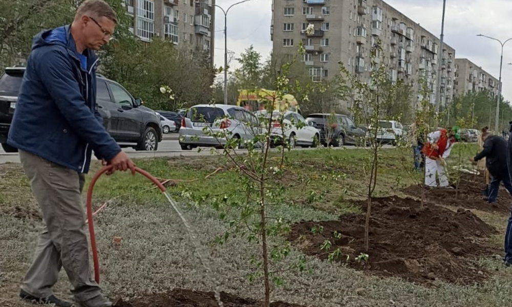 Жителей Омска ждут на полив молодых саженцев на Иртышской набережной 