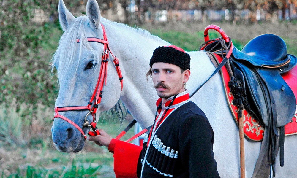 Омского экс-атамана Шалаева потребовали исключить из организации «Союз казаков»