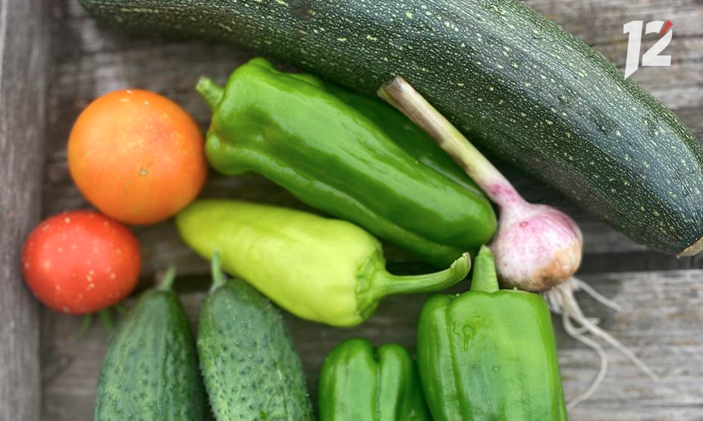 Омских садоводов и огородников приглашают к участию в традиционных весенних ярмарках