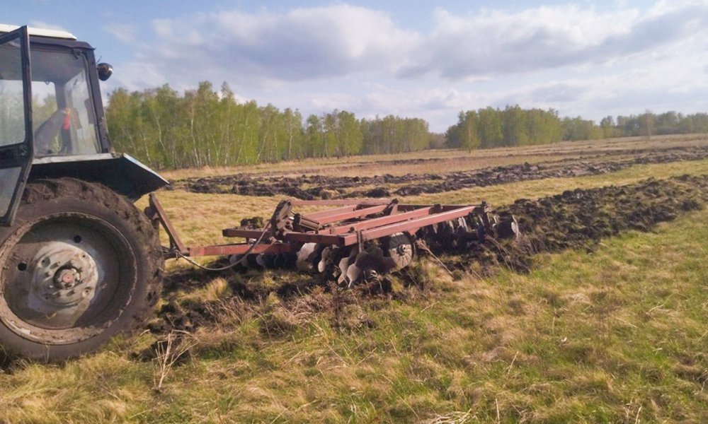 В Омской области проверили приживаемость геоглифа «ПОБЕДЕ – 80»