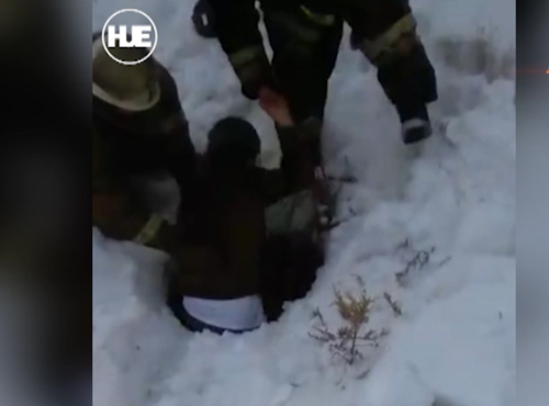 У провалившихся в колодец омички и пса диагностировали травмы