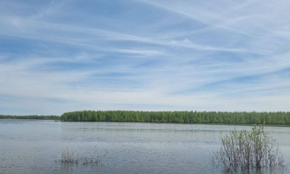 Виталий Хоценко сообщил, что уровень воды в Иртыше в районе села Усть-Ишим сейчас составляет 853 см 