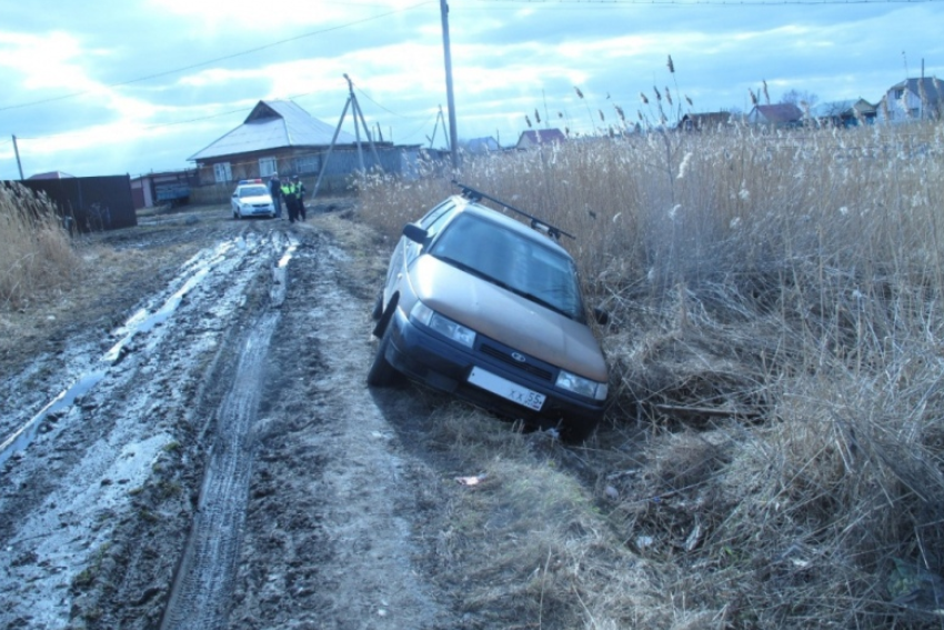Пьяный житель Омской области угнал машину, сбил ребёнка, угодил в кювет и оказался в полиции