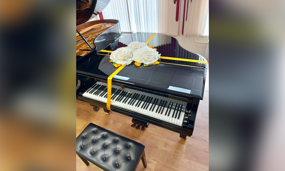 Виталий Хоценко сообщил о новом оборудовании и музыкальных инструментах для школ искусств региона  