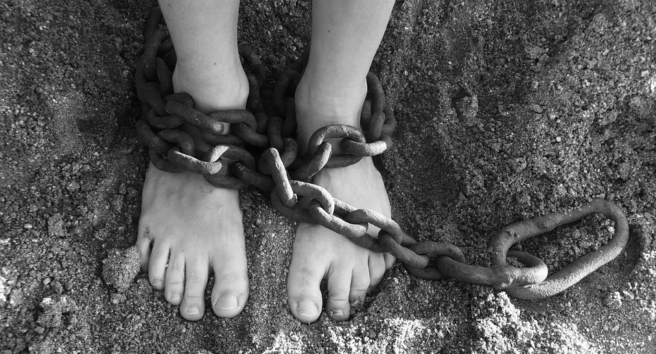 В Омске перед судом предстанут два омича - они похитили человека