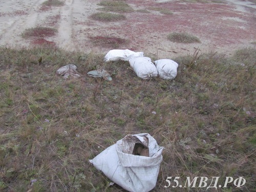 Омич незаконно выловил 100 кг икры артемия на озере Эбейты