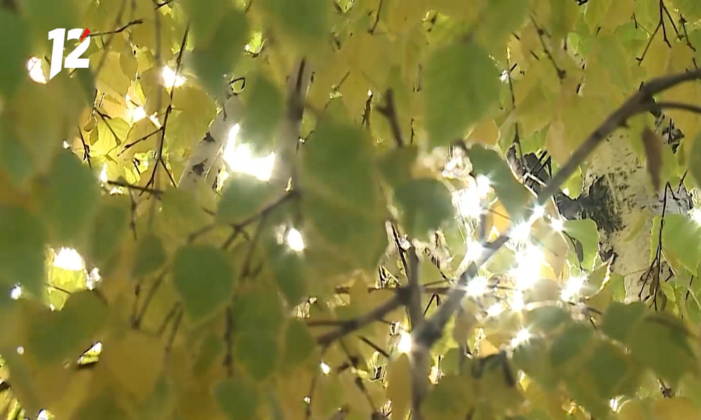 Омск рискует остаться без бабьего лета