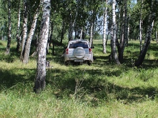 В Омской области молодой человек угнал машину у своего отца