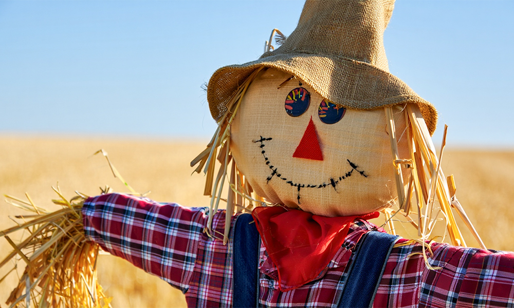 В Омской области реализуют пять проектов сельского туризма