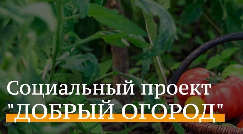 Омские агроволонтёры вошли в число победителей всероссийской акции «Добрый огород»