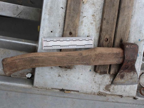 Омич топором зарубил переплывавшую Иртыш косулю