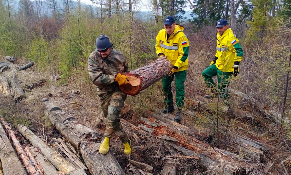 Омские авиапожарные приступили к тушению пожаров в Забайкалье