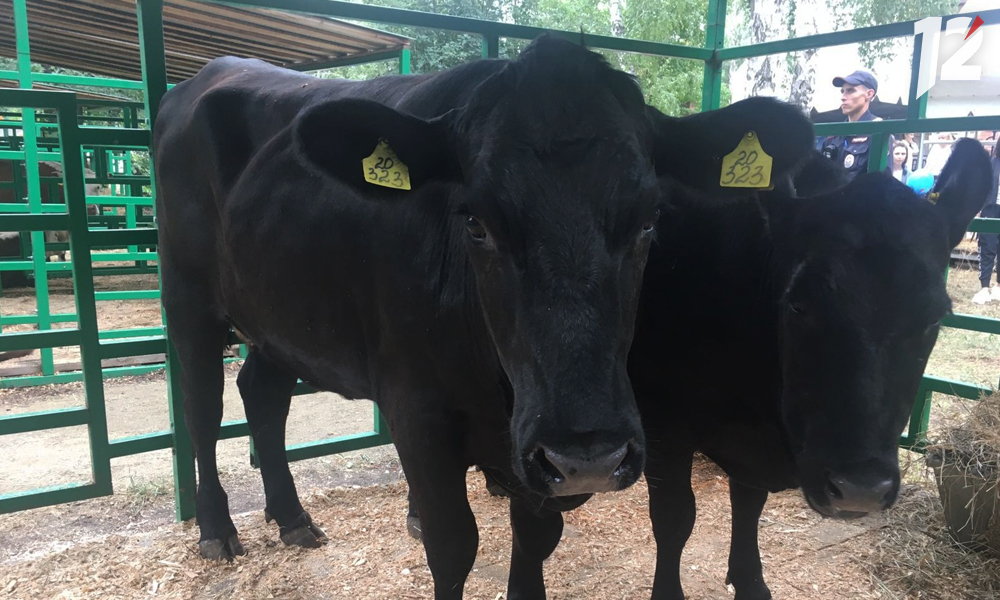 В Омской области ввели карантин из-за вспышки парагриппа-3 