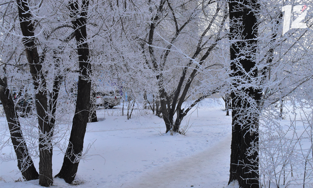 В конце декабря в Омской области потеплеет до +2