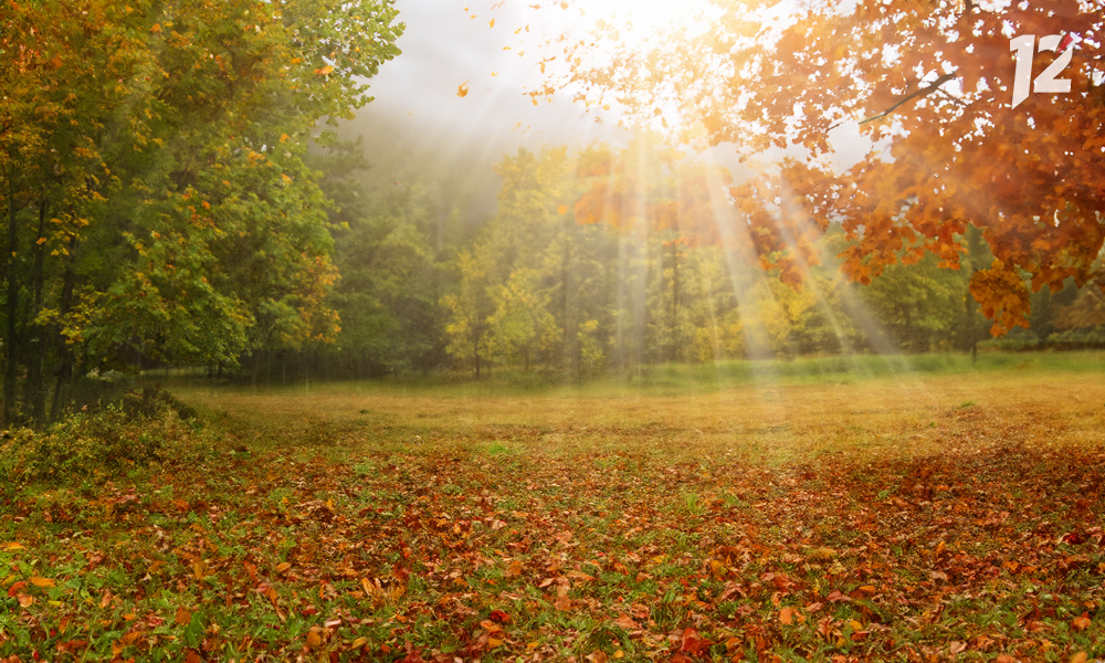 В Омске ожидается затяжное бабье лето