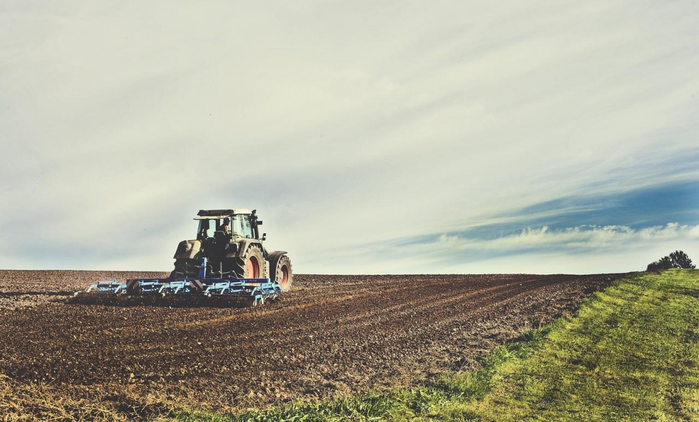 СибНИИСХоз, возглавляемый экс-министром, получил грант на развитие