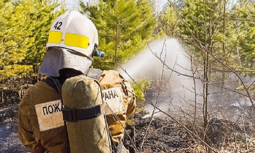 За сутки в Омске и области произошло несколько возгораний сухой травы [ФОТО]