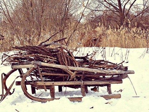 Жителям Омской области официально разрешили собирать в лесах хворост и валежник