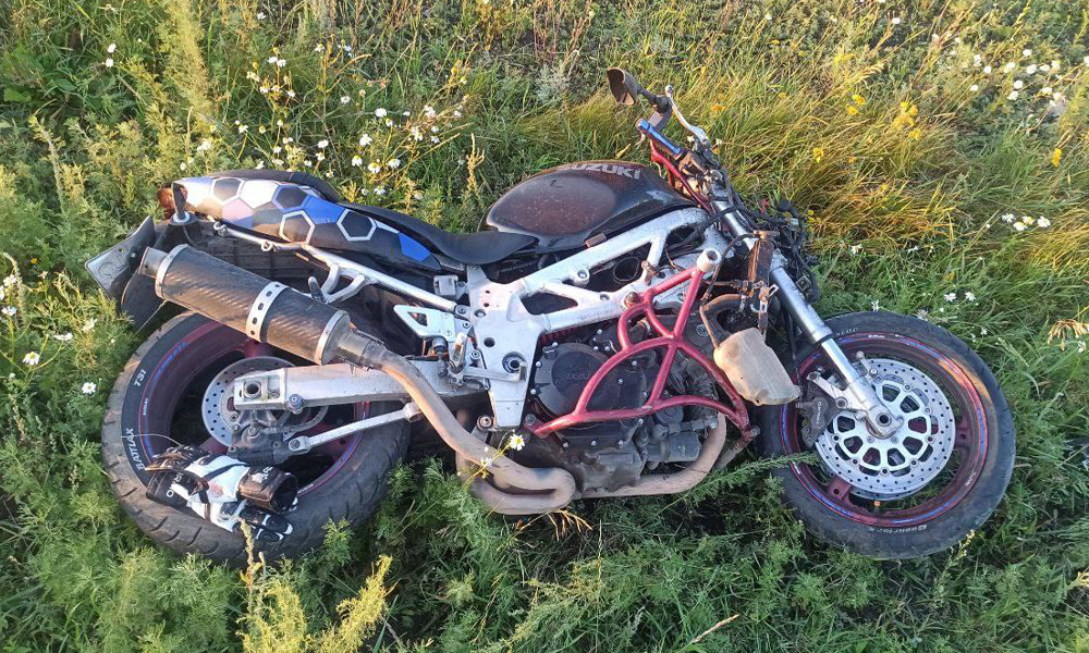 В Омской области в результате столкновения с лошадью погибла пассажирка мотоцикла 