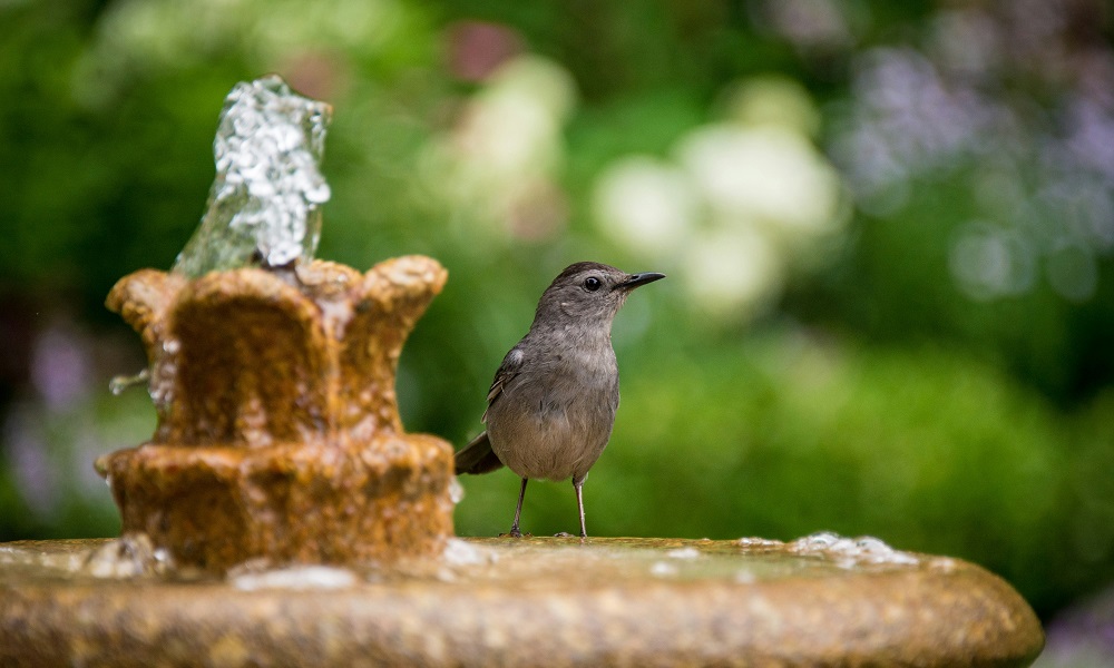 В Нефтяниках в Омске неизвестные разломали фонтан напротив детской поликлиники