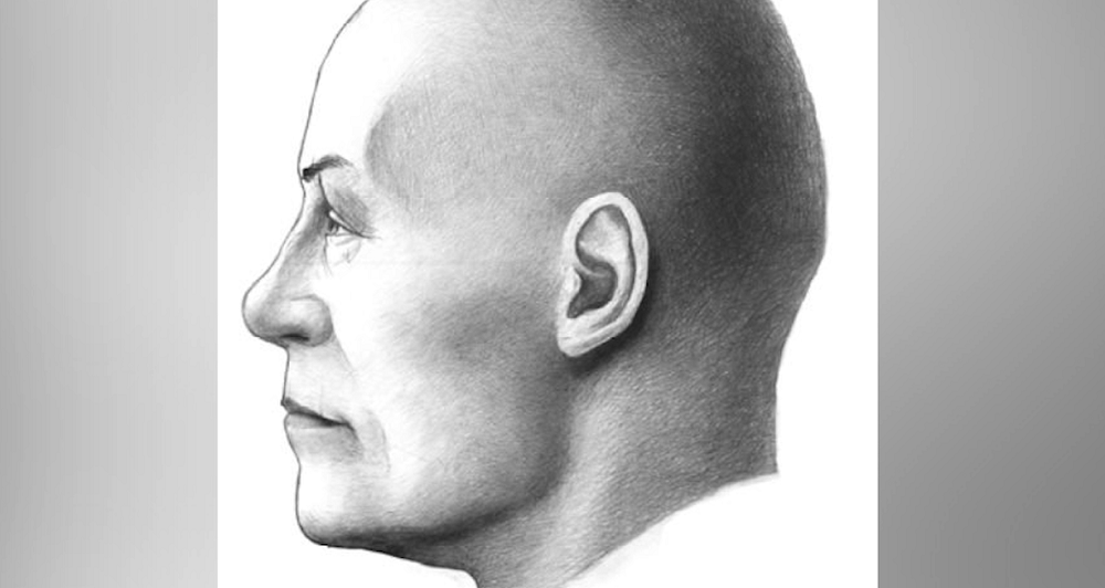 Учёные показали портрет человека, который жил на территории Омской области 3 тысячи лет назад