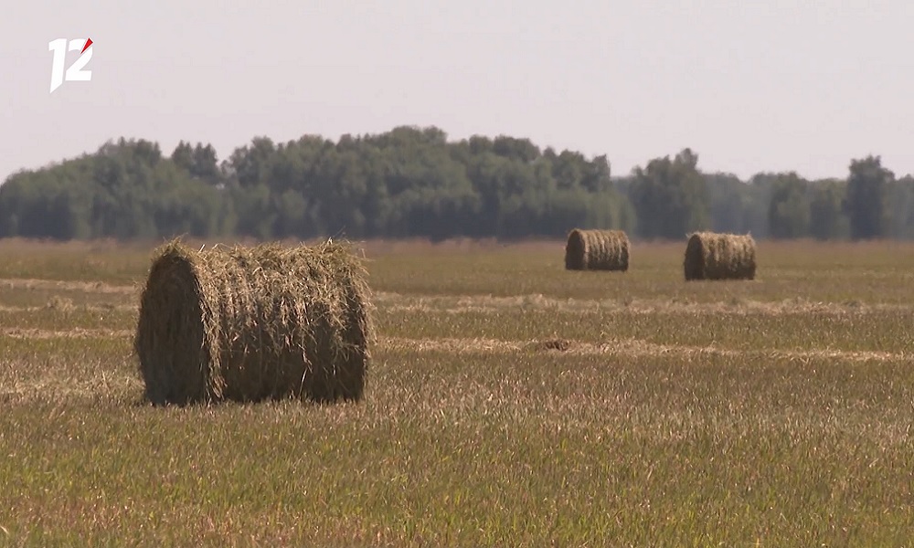 Для перевода сельхозземель в другую категорию в Омской области теперь потребуется согласие губернатора