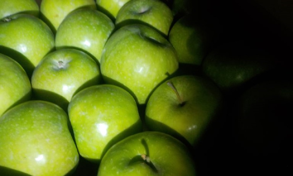 В Омскую область пытались незаконно ввезти более 16 тонн яблок